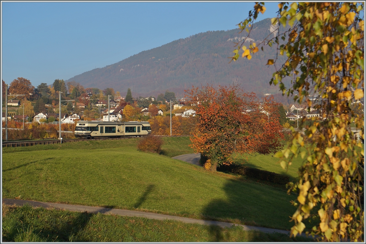 Der CEV MVR GTW Be 2/6 7004  Montreux  ist als Regionalzug auf dem Weg nach Vevey und erreicht den Halt Château d'Hauteville. Im Hintergrund rechts im Bild der Les Pleiades, auf dessen Gipfel zwar die Strecke der CEV führt, der CEV MVR GTW aber aufgrund des fehlenden Zahnradantriebes nicht fahren kann, so dass den vier GTW-Triebwagen nur die Adhäsion Strecke der CEV Vevey -Blonay (- Chamby) als Einsatzgebiet bleibt. Dazu kommen noch Einsätze im Vorortverkehr ab Montreux bis Les Avants. 
Da die Zahnradtriebwagen bereits ein fortgeschrittenes Alter erreicht haben. dürfte dies wohl der Grund gewesen sein, die CEV Flotte mit ABeh 2/6 Triebzügen zu vereinheitlichen und die noch fast neuen CEV Be 2/6 weiterzugeben, wobei der hier zu sehende Be 2/6 7004  Montreux  zur MIB bzw. in der Folge zur Zentralbahn bzw. SBB kommen sollte.

2. Nov. 2015