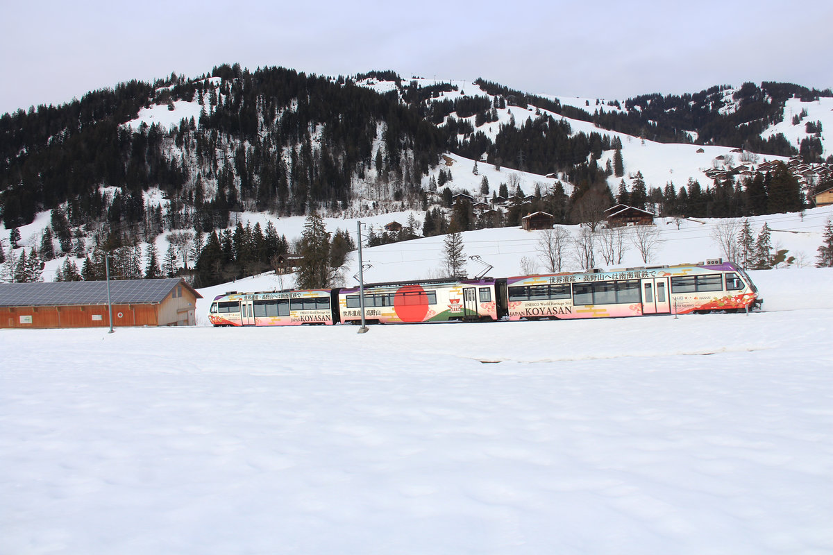 Der Dreiwagenzug ABt 342 - Be4/4 5002 - Bt 242 zwischen Schönried und Gruben. Die beiden Steuerwagen sind von 2008, der Motorwagen zwischendrin ist von 1976, verlor aber seinen Führerstand 2008. 4.Februar 2021 