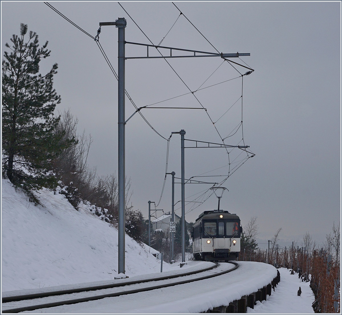 Der MOB Be 4/4 1007 bei Planchamp.
23.01.2017