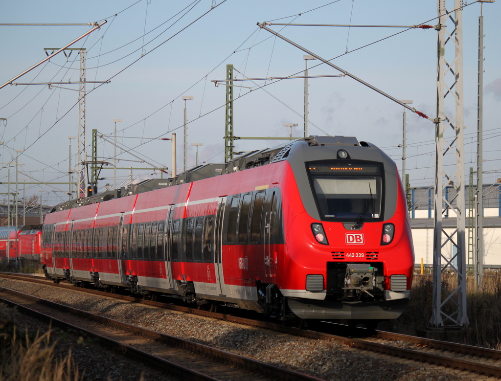 Der nchste Ostsee-Hamster lies sich am 08.11.2013 im Rostocker Hbf blicken diesmal war es 442 339-8