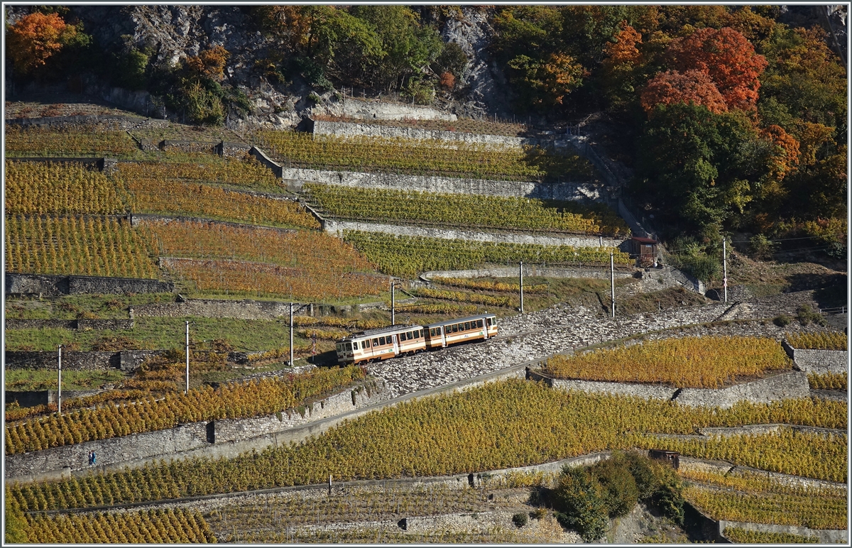 Der noch letzte in den A-L Farben gehaltene Pendelzug in den Weinbergen oberhalb von Aigle auf der Fahrt nach Leysin. 

27. Okt. 2021