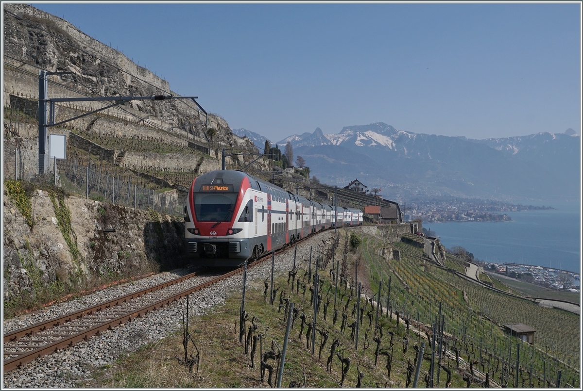 Der SBB RABe 511 026 ist als IR 30719 von Genève Aéroport auf dem Weg nach St-Maurice und zeigt sich kurz nach dem Salanfe Tunnel oberhalb von St-Saphorin. 

20. März 2022