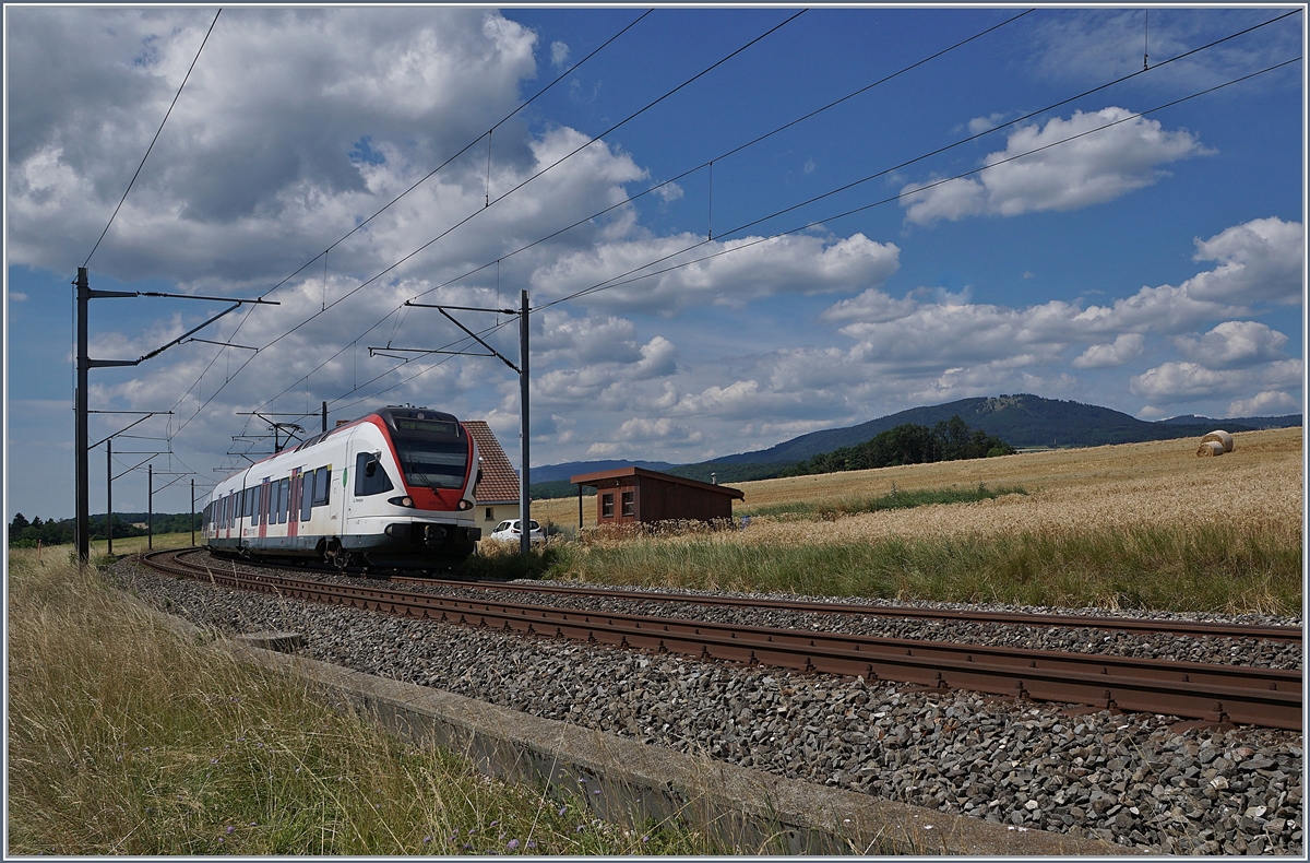 Der SBB RABe 523 021  La Veveyse , unterwegs als RER Vaud von Vallorbe nach Villeneuve kurz vor Arnex.

14. Juli 2020