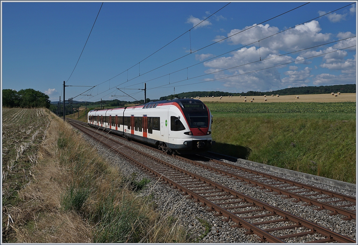 Der SBB RABe 523 027 auf der Fahrt nach Vallorbe kurz vor Arnex, in der sanften Jurafusslandschaf.

25. Juli 2020