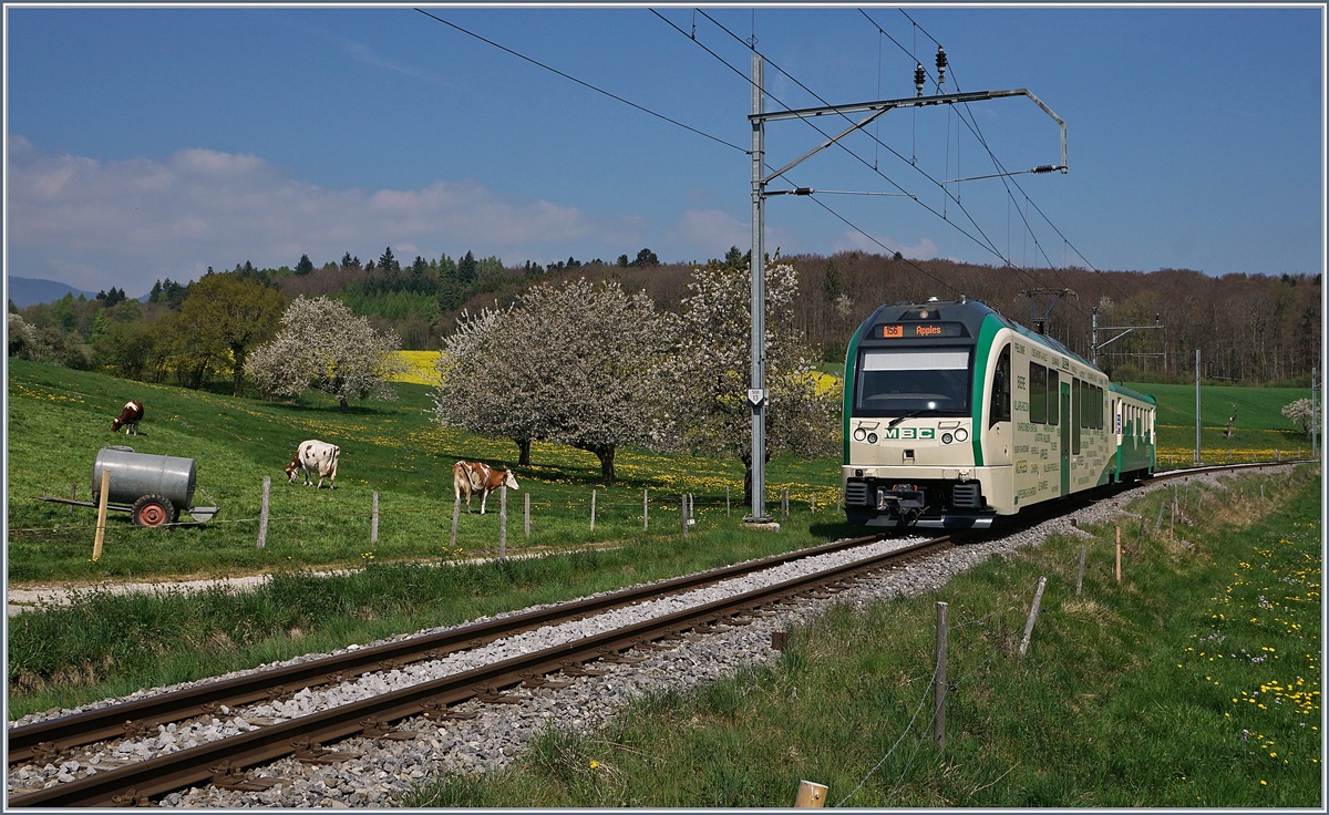 Der Streckenast Apples - L'Isle weisst ein recht geringes Verkehersaufkommen auf und wird meist nur im Zweistundentakt bedient, mit einigen Ausnahmen am Abend, und Morgens und Mittags wird von Montag bis Freitag sogar der Halbstudentakt angeboten. 
Die Strecke weist keine Block oder Kreuzungsmöglichkeiten auf, so dass immer der gleiche Zug hin und her pendelt. 

Bei Apples, den 11. April 2017