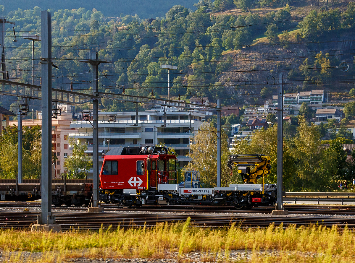 Der Tm 234 431-5 „Dart“ der SBB Infrastruktur am 08.09.2021 (leider etwas zwischen den Masten in Brig, aufgenommen aus einem Zug heraus. 

Die SBB Infrastruktur bestellte 2015  bei der Firma Windhoff  Tm 234-4, welche Teil des Rückgrates der zukünftigen Instandhaltungsflotte der SBB bilden werden. Bis 2022 ersetzen insgesamt 35 Baudiensttraktoren alle 51 Fahrzeuge des Typen Tm 232. Die bessere Leistung der neuen Fahrzeuge und die seit 2017 umgesetzte Steuerung der Infrastruktur Fahrzeuge ermöglichen eine Effizienzsteigerung. So konnte Infrastruktur die Anzahl der neu zu beschaffender Baudiensttraktoren um 16 Fahrzeuge reduzieren. Nach der Erprobung von 5 Vorserien Fahrzeuge ab 2019, startete ab März 2020 die Serienlieferung.

Die Tm 234-4 kommen vor allem in der Fahrbahninstandhaltung sowie bei der Instandhaltung der Sicherungsanlagen und der Kabel zum
Einsatz. Diese Fahrzeuge können auch auf ETCS Level 2 Strecken
Verkehren. Die 124 Baudiensttraktoren des Typs Tm 234 «Ameise» bleiben vorerst weiterhin im Einsatz.

TECHNISCHE DATEN:
Hersteller: WINDHOFF Bahn- und Anlagentechnik GmbH, Rheine
Spurweite: 1.435 mm (Normalspur)
Anzahl der Achsen: 2  
Länge über Puffer : 14.240 mm
Achsabstand: 9.000 mm
Motoren: 2 Dieselmotoren zu 522 kW bzw. 130 kW
Kleinster befahrbarer Gleisbogen: 80 m
Dienstgewicht 37,5 t
Zuladung: 2,5 t
Motoren: 2 Dieselmotoren zu 522 kW bzw. 130 kW
Höchstgeschwindigkeit: 100 km/h (Streckenfahrt) / 100 km/h (geschleppt)
nutzbarer Inhalt Treibstofftank: 760 l
Max. Hubkraft Kran: 220 kNm

Hydrodynamische und hydrostatische Kraftübertragung auf beide Radsätze und über Zug-Druck-Stangen auf den Fahrzeugrahmen