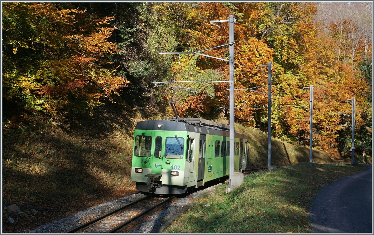 Der TPC ASD BDe 4/4 402 im bunten Herbstwald bei Verschiez. 

5. November 202