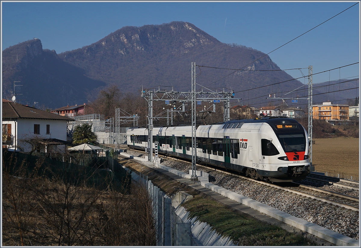 Der Trenord ETR 524 003 erreicht als S40 25419 Como - Varese den Bahnhof Arcisate, der sich im Hintergrund schon abzeichnet. Die FMV, die am 7.1.18 ihr einjähriges Betriebsjubiläum feiert, scheint recht erfolgreich zu sein auch wenn die kundenfreundliche Anbindung an den Flughafen von Malpensa und die Anschlussmöglichkeiten Richtung Wallis und Westschweiz noch fehlen. 5. Jan. 2019 