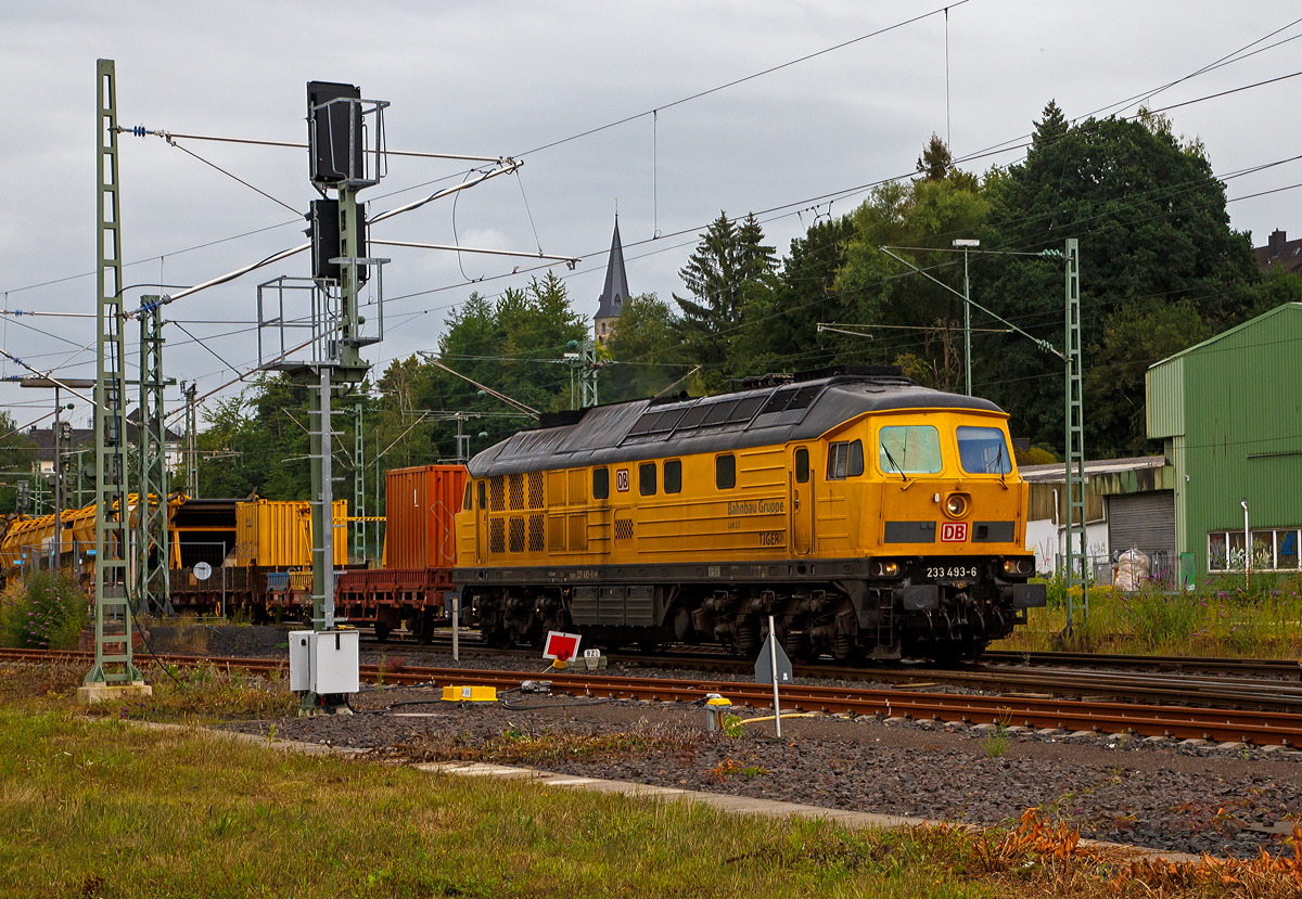 Die 233 493-6  „TIGER“ (92 80 1233 493-6 D-DB) bzw. Lok 13 der DB Bahnbau Gruppe, ex DB 232 493-7, ex DR 132 493-8, fährt am 20.08.2021, mit einem Bauzug (bestehend auch einigen Materialförder- und Silowagen  MSF-100 der MGW Gleis- und Weichenbau) , durch Betzdorf/Sieg in Richtung Köln.

Die remotorisierte  Ludmilla bzw. V 300 wurde 1977 von LTS (Luhanskyj Teplowosobudiwnyj Sawod auch bekannt als Lokomotivfabrik „Oktoberrevolution“  Lugansk (ehemals Woroschilowgrad)) unter der Fabriknummer 0728 gebaut und als 132 493-8 an die Deutsche Reichsbahn (DR) geliefert. Zum 01.01.1992 erfolgte die Umzeichnung in DR 232 493-7 und zum 01.01.1994 dann in DB 232 493-7. Im Jahre 2003 erfolgte dann der  Umbau und Remotorisierung im Ausbesserungswerk Cottbus mit einem neuen Zwölfzylinder-Viertakt-Dieselmotor vom Typ 12D49M, daraufhin erfolgte zum die Umzeichnung in DB 233 493-6. Im Jahr 2014 ging sie von der DB Schenker an die DB Bahnbau Gruppe.

Die Umbau-Baureihe 233:
Im Jahre 2002 begann man mit dem Stabilisierungsprogramm der BR 232, zur Erhöhung der Zuverlässigkeit, Verfügbarkeit und Wirtschaftlichkeit, sowie der Reduzierung der Emissionswerte, der Umbau bestand im Wesentlichen aus:
Die Lok der BR 232 erhielt nun einen direkteinspritzenden V-12-Zylinder-Viertakt-Dieselmotor des russischen Typs Kolomna 12D49M  einer Nennleistung von 2.206 kW und einer maximal eingestellten Traktionsleistung von 1.900 kW ausgerüstet worden. Da der Umbau für den russischen Motor am geringsten war, entschied man sich für den Einbau dieses Motors. Während der Originalmotor ein 16-V-Zylinder-Dieselmotor (Kolomna 5D49) war, ist der neue Motor nur noch ein 12-Zylinder-V- Dieselmotor. Der der neue Motor hat einen Hubraum von 165,6 l gegenüber 220,9 l des alten Motors, die fast gleiche Leistung wird u.a. durch einen höheren Ladedruck erreicht. Dieser wurde von 1,3 bar auf nun 2,1 bar erhöht. Aber auch der Einspritzdruck (Beginndruck 380 bar gegenüber 320 bar) und der max. Verbrennungsdruck (140 bar gegenüber 115 bar) sind entsprechend höher.
Wie auch beim alten Motor können einzelne Zylindergruppen zur Dieseleinsparung bei Nichtbedarf abgeschaltet werden. Insgesamt wurden 65 Lokomotiven mit dem neuen Motor Typ Kolomna 12D49M ausgestattet und zur Unterscheidung als Baureihe 233 bezeichnet, dabei wurden die alten Ordnungsnummern beibehalten. 

Systemänderungen gegenüber dem 5D49 bestehen vor allem im Zweikreiskühlsystem, der Ausstattung mit zwei Ölwärmetauschern und der Notabstellung mittels Notstopp bzw. Luftabsperrklappe.
Die veränderte Lage des Abgasturboladers des 12D49M gegenüber dem 5D49 im Lokkasten erforderte außerdem den Einbau eines gekürzten Schalldämpfers. Weiterhin wurde die Verbrennungsluftanlage auf eine mit vier Papierfiltereinsätzen bestückte einseitige Luftansauganlage umgerüstet. 

TECHNISCHE DATEN der BR 233:
Spurweite:  1.435 mm (Normalspur)
Achsformel: Co’Co’
Länge über Puffer: 20.820 mm
Achsabstand im Drehgestell:  2 x 1.850 mm (3.700 mm)
Dienstgewicht: 122t
Radsatzfahrmasse:  20,4 t 
Anfahrzugkraft: 294 kN
Dauerzugkraft: 194 kN
Höchstgeschwindigkeit: 120 km/h
Treibraddurchmesser:  1050 mm
Motorart: direkteinspritzender V-12-Zylinder-Viertakt-Dieselmotor mit Abgasturbolader und Ladeluftkühlung, 4 Ventile pro Zylinder
Motorentyp: Kolomna 12D49M
Motorleistung: 2.206kW (2.999 PS) bei 1.000 U/min
Motorhubraum: 165,6 l
Ladeluftdruck: 2,1 bar
Einspritzbeginndruck: 380 bar
Max. Verbrennungsdruck: 140 bar
Motorgewicht (trocken): 17.750 kg
Leistungsübertragung: elektrisch
Traktionsgeneratortyp: GS-501A
Traktionsgeneratorleistung:  2.190kW
Traktionsleistung: 1.830 kW (6 x 305 kW)
Anzahl der Fahrmotoren: 6 (á 305 kW)
Fahrmotortyp: ED 118 A
Tankinhalt: max. 6000 l