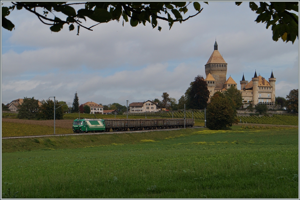 Die BAM Ge 4/4 21 ist mit einem Zuckerrübenzug Richtung Morges vor der Kulisse des Château de Vufflens unterwegs.
15. Okt. 2014