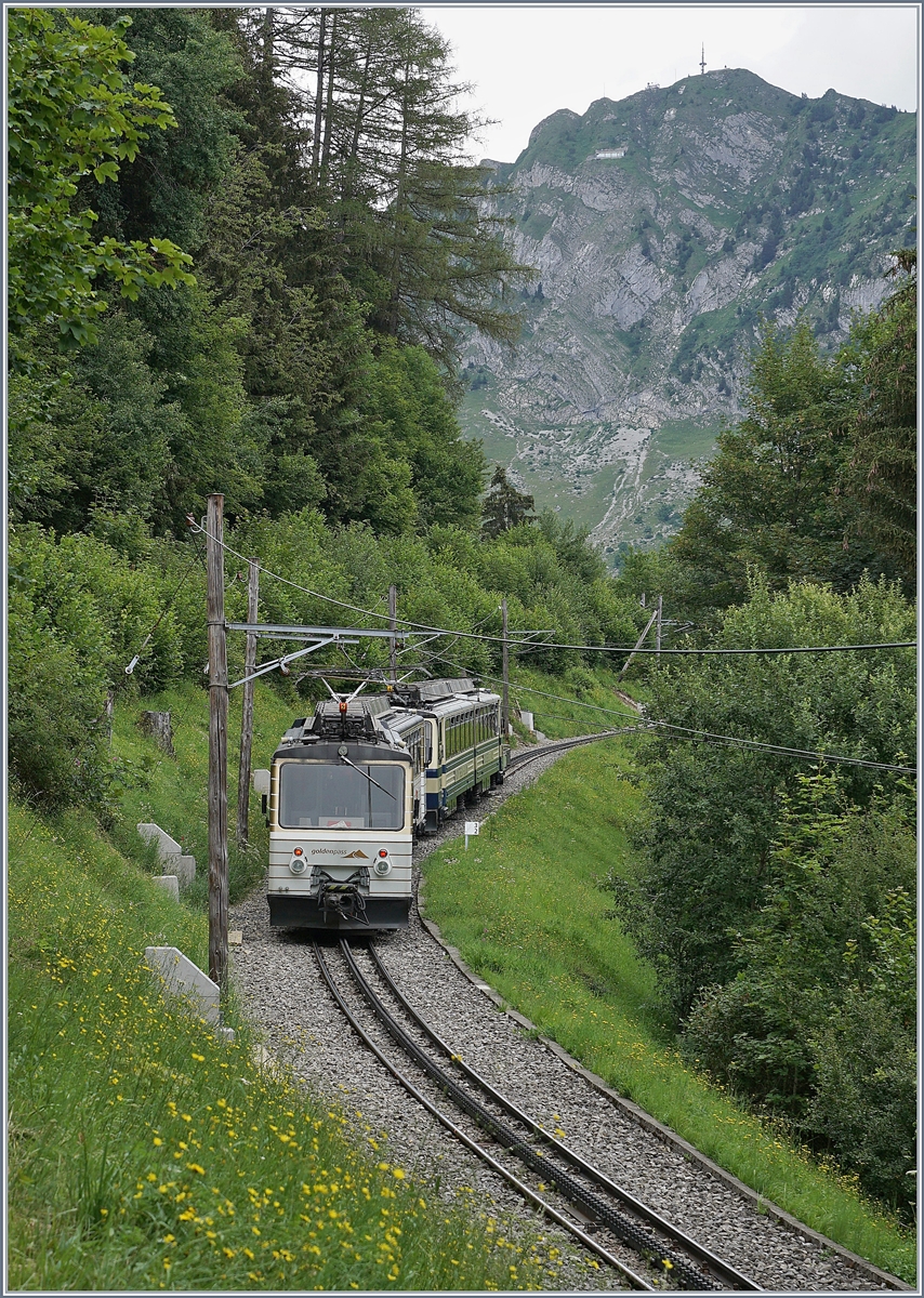 Die beiden Bhe 4/8 304 und 305 auf der Fahrt zum Gipfel des Rochers de Naye der sich in der Ferne schon zeigt. 

Bei Haut de Caux, den 24. Juli 2020