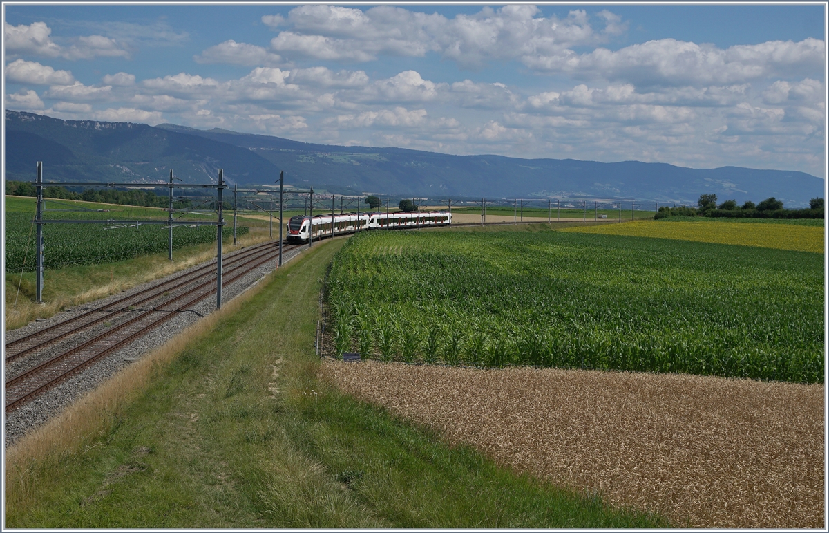 Die beiden SBB RABe 523 027 und 059, unterwegs als RER Vaud von Villeneuve nach Vallorbe verlassen den grossen 180° Bogen bei Arnex. 

14. Juli 2020
