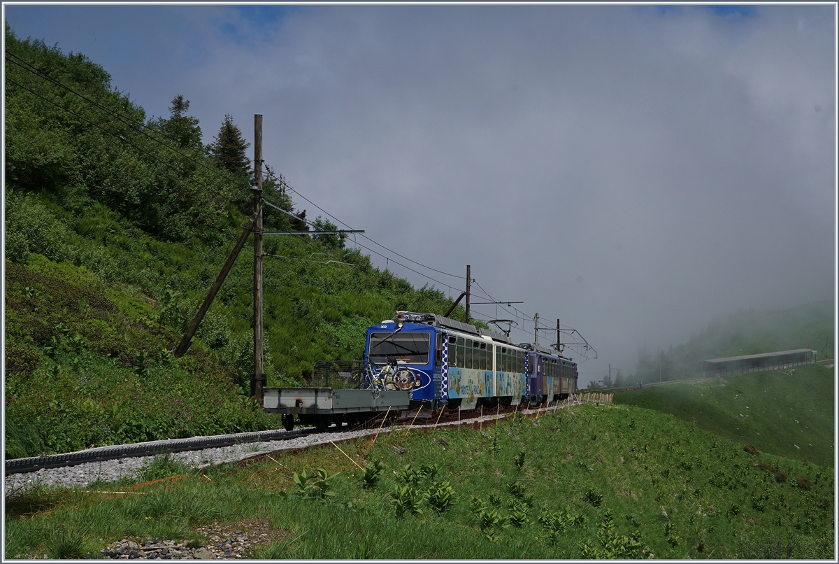 Die beinden Beh 4/8 302 und 303 auf Bergfahrt Richtung Rochers de Naye kurz nach Jaman.
3. Juli 2016