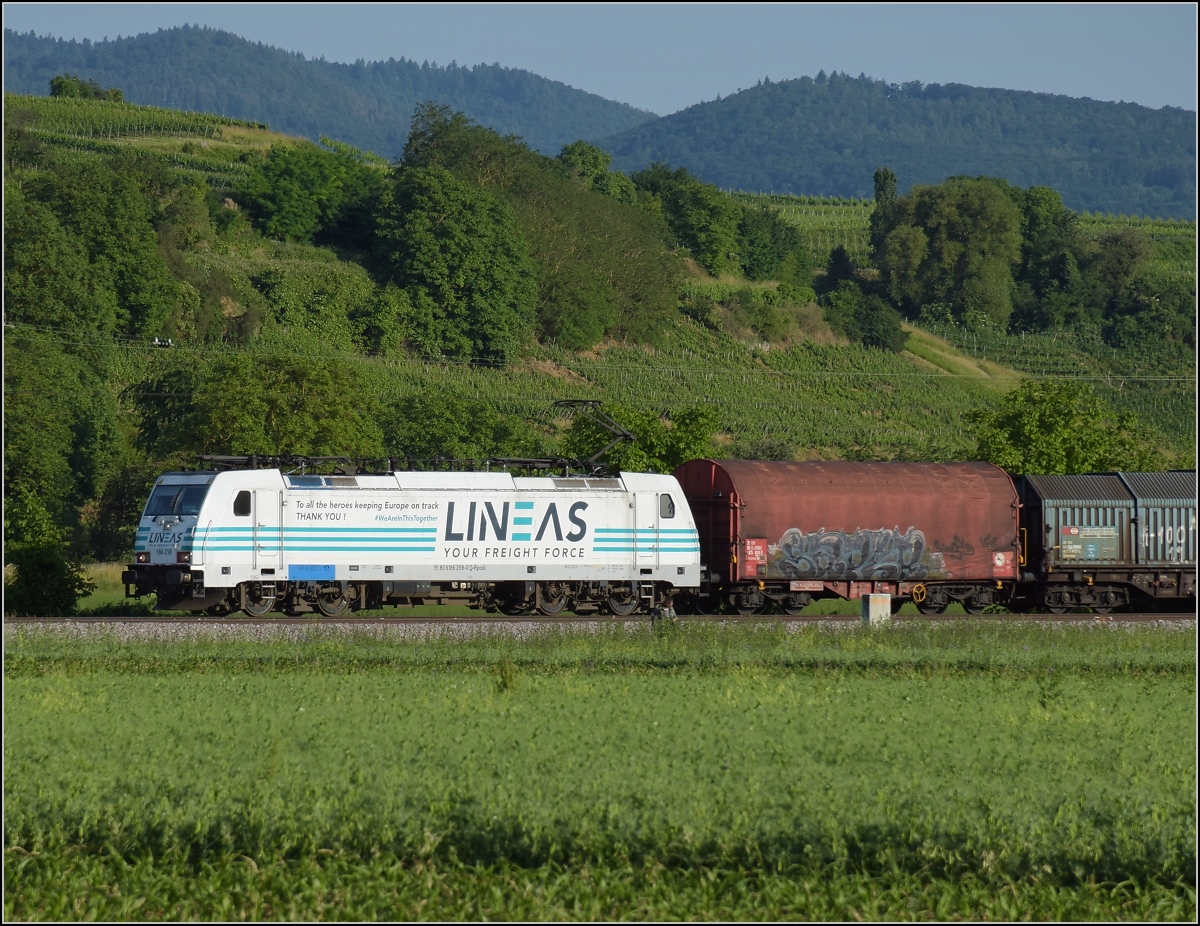 Die belgische Lineas nutzt mit 186 258 ein Fahrzeug der Railpool. Am blauen Fleck unterhalb der Lineasfolie ist noch die Herkunft zu erkennen. Hügelheim, Juni 2022.