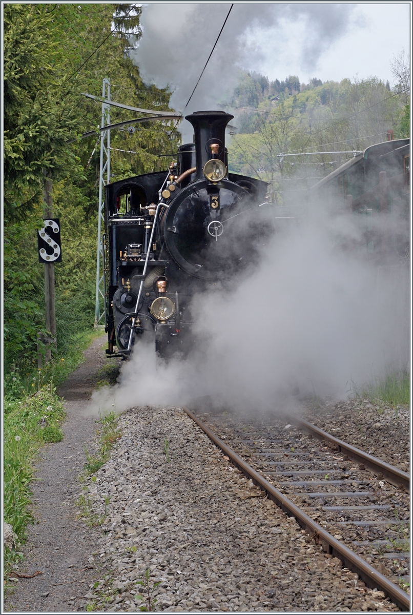 Die BFD HG 3/4 n° 3 auf der kurzen Fahrt vom  BW Chaulin  zum Museumsbahnhof.

6. Mai 2023