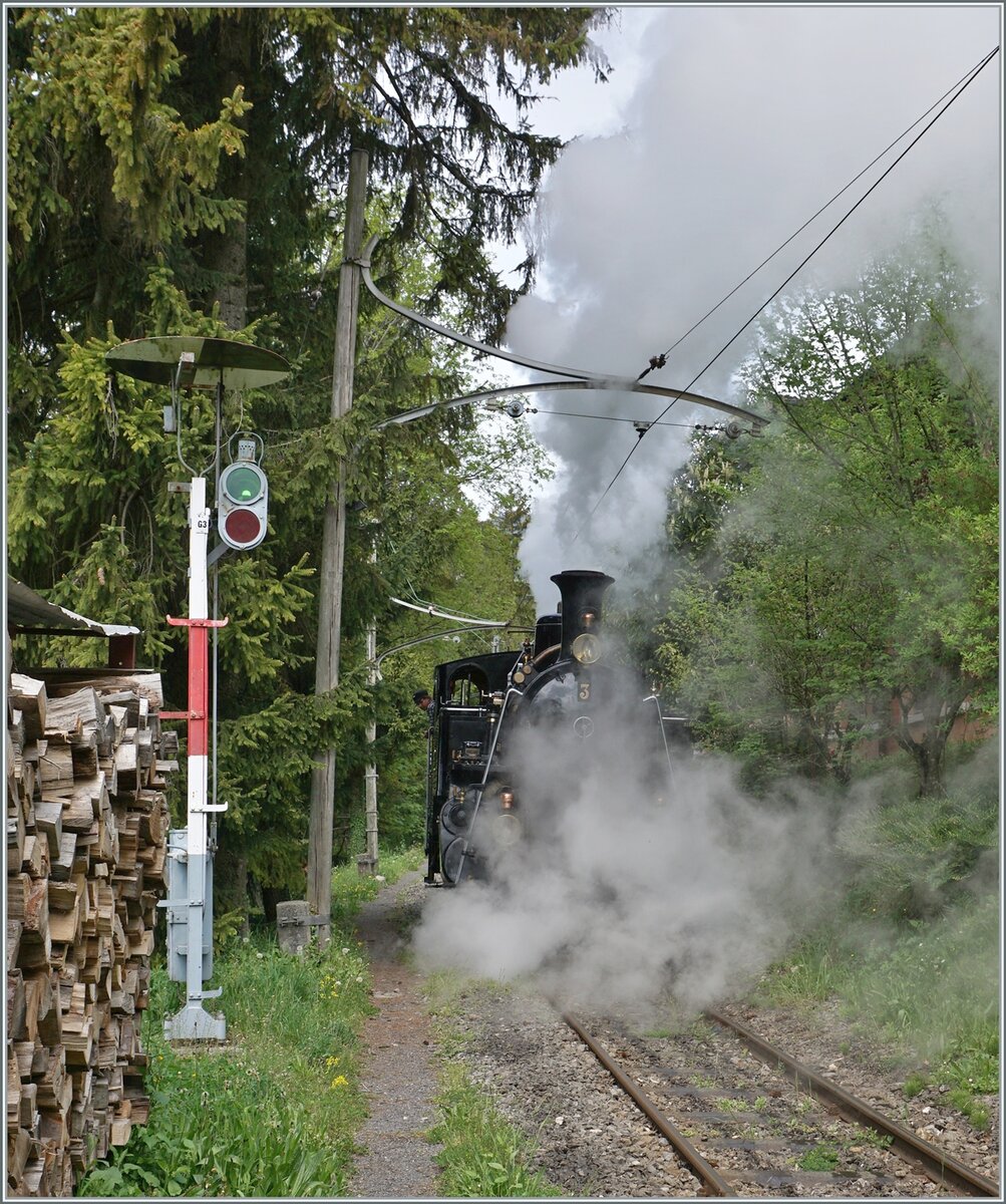 Die BFD HG 3/4 n° 3 auf der kurzen Fahrt vom  BW Chaulin  zum Museumsbahnhof.

6. Mai 2023