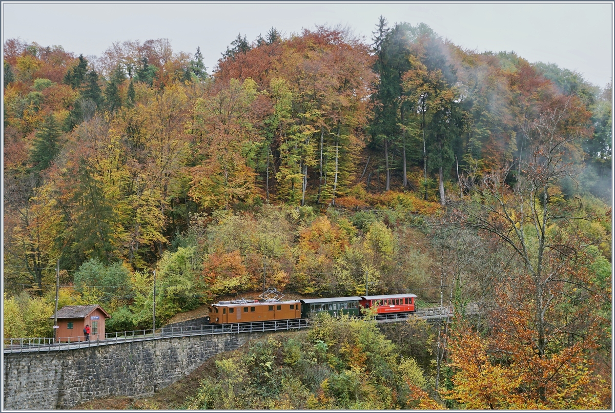 Die Blonay Cahmby Bernina Bahn Ge 4/4 81 ist mit einem kurzen Personenzug bei  Vers-chez-Robert  auf dem Weg nach Blonay. 

28. Okt. 2018