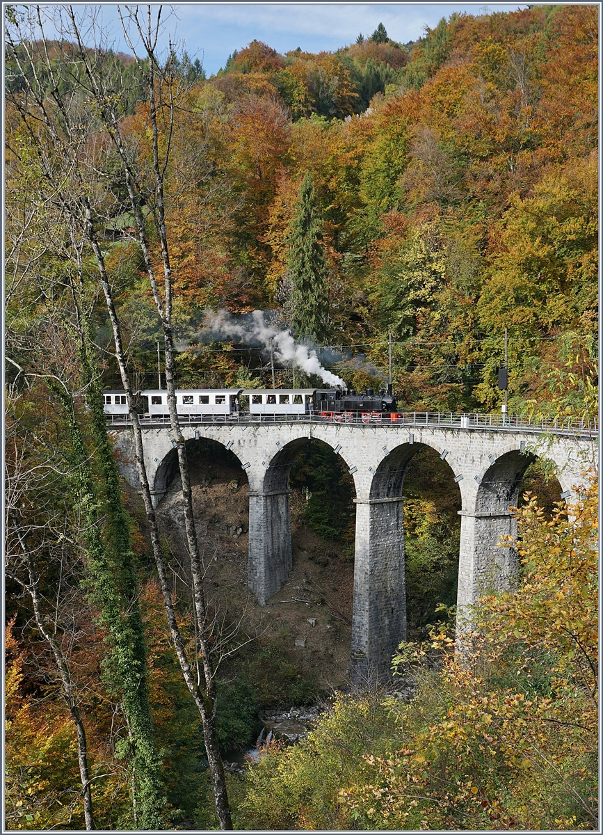 Die Blonay-Chamby G 2x 2/2 105 erreicht mit einem aus Wagen verschieden Bahngesellschaften zusammengestellten, aber doch einheitlich erscheinenden Reisezug den Baye de Clarens Viadukt.

27. Okt. 2019