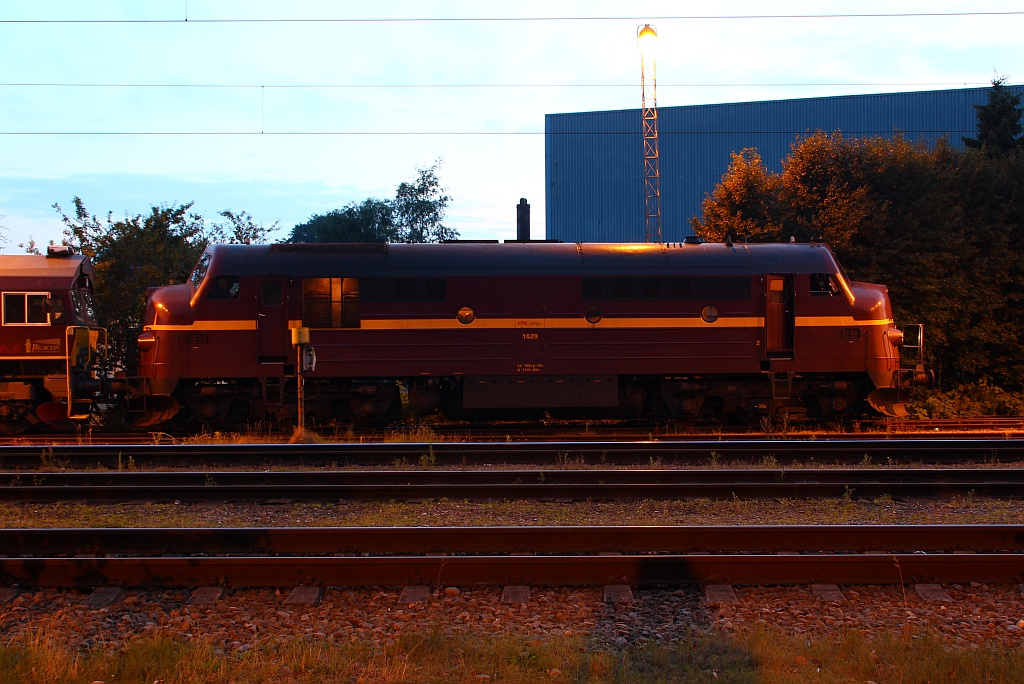 Die CFL Cargo Mx 1029 rangierte zusammen mit der T66K714(Class 66)im Güterbereich in Padborg herum. 02.08.12