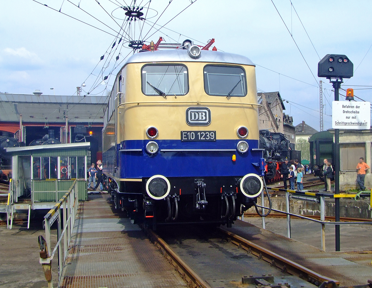 Die E 10 1239, ex DB 110 239-1, ex DB E 10 239, wird am 12.04.2010 auf der Drehscheibe im Südwestfälische Eisenbahnmuseum in Siegen präsentiert.

Die Lokomotive E 10 1239 wurde 1962 von  Krauss-Maffei in München unter der Fabriknummer 18741 gebaut, der elektrische Teil ist von Siemens, und von der Deutschen Bundesbahn nach Abnahmefahrten nach Ingolstadt und Salzburg von München aus am 22.02.1962 abgenommen. Die vorgestellte 1 in der Lokbezeichnung weist auf die abweichende maximale Geschwindigkeit von 160 km/h statt der üblichen 150 km/h hin. Diese Änderung wurde für den Einsatz vor Rheingold-Zügen notwendig und wurde über die Änderung der Getriebeübersetzung von 1 : 1,91 statt 1 : 2,11 erreicht. Entgegen landläufig verbreiteter Ansicht hatte  E 10 1239 nicht die nur bei E 10 1244 eingebauten sogenannten Schnellfahrdrehgestelle aus dem Hause Henschel, sondern lief wie die  normalen  Lokomotiven der Baureihe E 10 auf Seriendrehgestellen.

Wichtigstes äußerliches Merkmal der technisch abweichenden Lokomotive war der Anstrich der Lokomotive in den neuen, für den Rheingold vorgesehenen Farben Beige/ Kobaltblau, in welchen sie nach der Übernahme durch die Deutsche Bundesbahn zum Bw Heidelberg kam und von dort den Rheingoldzug zog. Auch heute gilt das Rheingold noch als Synonym für hochwertigen Reiseverkehr. In keiner anderen Farbgebung zogen Lokomotiven der Baureihe E 10 in Kastenform höherwertigere Züge, der Status als Schnellfahrlokomotive höchster Qualität war deutlich sichtbar, auch wiesen die Kasten-E 10.12 eine von ihren unscheinbar blau lackierten Schwestern eine nicht gekannte Eleganz auf.

Der Einsatz als Rheingold-Lokomotive währte für E 10 1239 nur rund 6 Monate, dennoch dürfte es der interessanteste Abschnitt ihres langen Arbeitslebens gewesen sein.

Mit der Indienststellung von E 10 1265 bis E 10 1270 (der späteren DB BR 112 bzw. nach der deutschen Wiedervereinigung BR 113) verlor E 10 1239 ihr elegantes Farbkleid. Sie wurde im AW München-Freimann blau lackiert, auf 150 km/h Höchstgeschwindigkeit zurückgebaut und zur E 10 239 umnummeriert. Die Beheimatung in Heidelberg wurde aufgegeben und die Maschine ging in den Bestand des Bw Nürnberg über, wo sie bis zum 25.5.1974 blieb.

Vom 26.5.1974 an war die Lok im Bw Stuttgart zu Hause, in Stuttgarter Zeit erlebte sie zum dritten Mal die Änderung ihres Anstrichs  in ihrer Laufbahn, sie wurde am 1977 oceanblau/beige. Mit der Umstellung auf das Computernummernsystem 1968 wurde sie zur 110 239-1. Im Jahre 2002 wurde sie im Rahmen der Hauptuntersuchung auch rein optisch ihren Schwestermaschinen vollends angeglichen werden, und wurde nun auch verkehrsrot Lackiert. Das wenig beliebte orientrote Farbschema hat sie nie getragen. 


Am 3.10.2008, dem Tag der Deutschen Einheit, war es erstmals möglich, die Rheingoldlokomotive E 10 1239 zusammen mit authentischen Rheingoldwagen des Freundeskreises Eisenbahn in Köln-Nippes zu sehen und abzulichten. 
