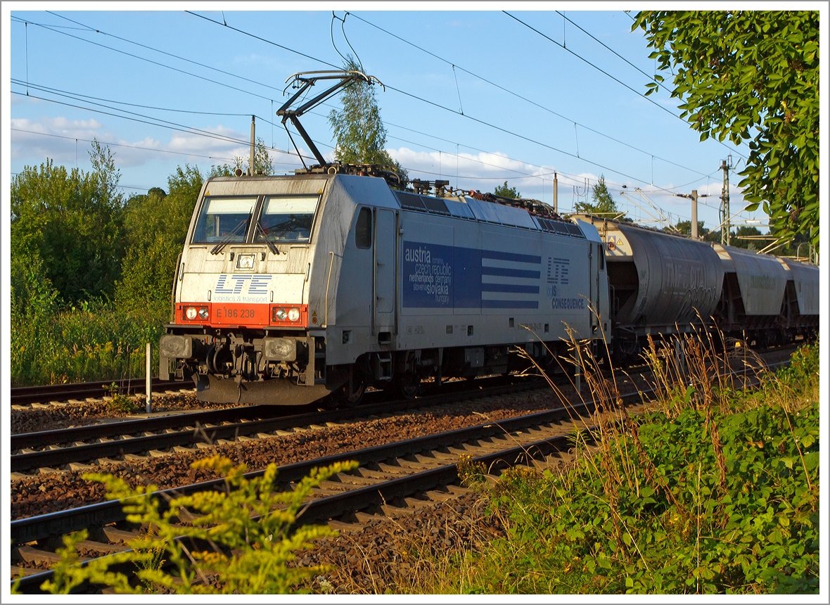 Die E 186 238 der LTE Logistik- und Transport- GmbH mit einem Getreidezug fährt am 26.08.2013 durch Pirna, hier kurz vorm Bahnhof. 

Die TRAXX F140 MS wurde 2009 von Bombardier in Kassel unter der Fabriknummer 34442 für die CBRail s.à.r.l. in Luxembourg gebaut, 2012 kam sie zur LTE hier hat sie nun die NVR-Nummer 91 80 6186 238-2 D-LTE und die EBA-Nummer  EBA 05E48KF 075.

Die Multisystemlokomotive hat die Zulassungen bzw. besitzt die Länderpakete für Deutschland, Österreich, Belgien und die Niederlande. 

Die Traxx F140 MS gehört zur dritten Traxx-Generation, in Deutschland wird sie als Baureihe 186 bezeichnet. Es handelt sich dabei grob betrachtet um eine Weiterentwicklung der Traxx F140 MS2, also eine Viersystemlok für Wechsel- und Gleichstromsysteme mit 5.600 kW Nennleistung, die Drehgestelle und Antriebe wurden nochmals verbessert, so dass mit dem Tatzlagerantrieb erstmals eine reguläre Höchstgeschwindigkeit von 160 km/h erreicht werden kann. Auch die BR 186 ist mit verschiedenen Länderpaketen erhältlich. 

Geht man nach der Herstellerbezeichnung, handelt es sich bei der BR 186 um eine Güterzuglok, jedoch ist sie dank ihrer nachträglich für Deutschland genehmigten Höchstgeschwindigkeit von 160 km/h auch für Einsätze im Personenverkehr geeignet. Trotz der Geschwindigkeitserhöhung hat die Baureihe die  140  in der Bezeichnung Traxx F140 behalten. In Polen und Österreich darf weiterhin nur bis zu 140 km/h schnell gefahren werden.

Technische Daten:
Spurweite: 1435 mm
Umgrenzungsprofil: UIC 505-1
Netzspannungen: 25 kV AC 50 Hz, 15 kV AC 16,7 Hz, 3 kV und 1,5 kV DC
Achsanordnung: Bo´Bo´
Länge über Puffer: 18.900 mm
Max. Breite des Lokkastens: 2.977 mm
Höhe über Stromabnehmer: 4.283 mm
Drehgestellmittenabstand: 10.440 mm
Radsatzabstand im Drehgestell: 2.600 mm
Dienstmasse: ca. 86 t (abhängig von Länderpaketen)
Radsatzlast: 21.5 t
Antriebssystem: Tatzlagerantrieb
Anzahl Fahrmotoren: 4
Max. Leistung: 5.600 kW
Max. Anfahrzugkraft: 300 kN
zul. Höchstgeschwindigkeit: 140 km/h (in Deutschland 160 km/h)