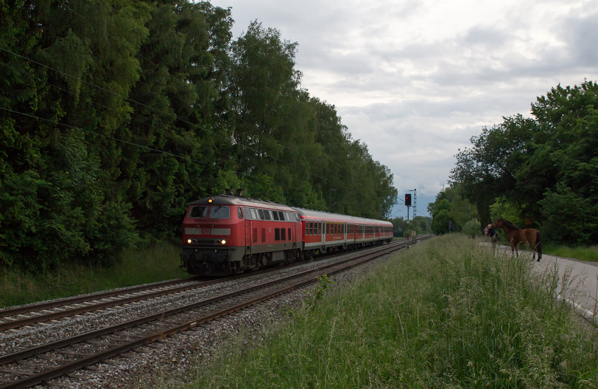 Die ehemalige Braunschweiger 218 452-1 mit ihrem TB11-Motor brummte am Abend des 01.06.16 mit ihrem kleinen Bn-Wagen-Zug von München Hbf nach Mühldorf durch Poing.

Ein Pferd schaute sich das kleine Spektakel mit an, während seine Führerin es einfühlsam hielt.