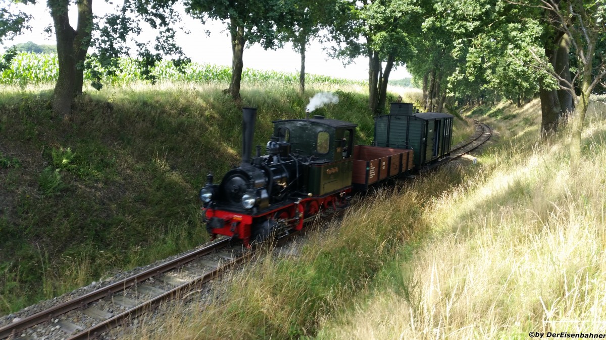 Die Franzburg kommt aus Bruchhausen-Vilsen.
Hier hinter Vilser Holz. (am 01.08.2015)