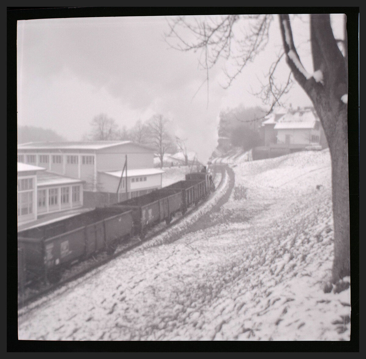 Die Gaswerkbahn Bern mit einem Dampfzug, der leere Kohlewagen nach Wabern hinaufzieht. Heute ist - bis auf ein kurzes Stück, wo die Anwohner ungestört bleiben wollen - die ganze alte Gaswerkbahn ein Veloweg. Dezember 1964 