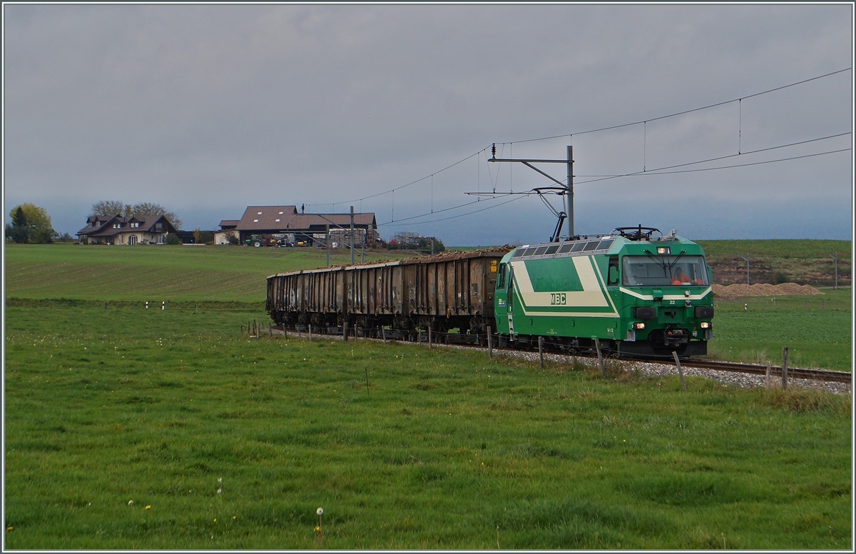 Die Ge 4/4 N° 22 verlässt mir ihrem Zuckerrübenzug den Verladeort auf der Strecke bei Mauraz; wie im Hintergrund zu sehen, sind noch viele Rüben zu verladen.
15. Okt. 2014