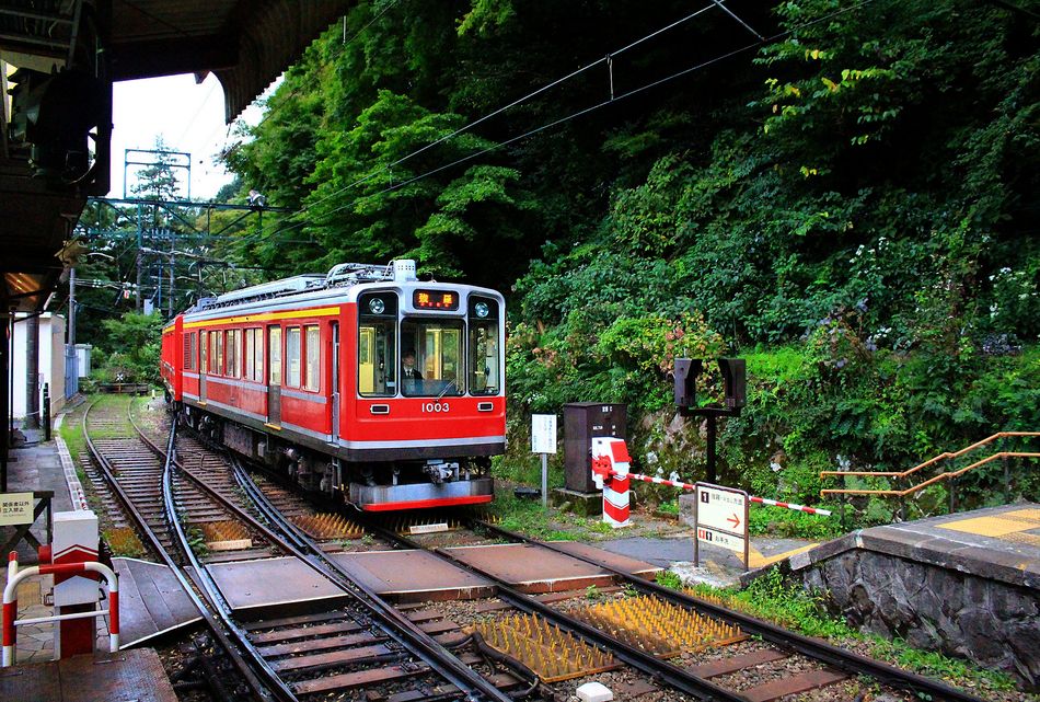 Die Hakone Bergbahn in der Station Miyanoshita. Mitten im unwegsamen Gelände kommt der Dreiwagenzug mit Triebwagen 1003 (1984) zu einer Verschnaufpause im steilen Anstieg. 7.Oktober 2014 
