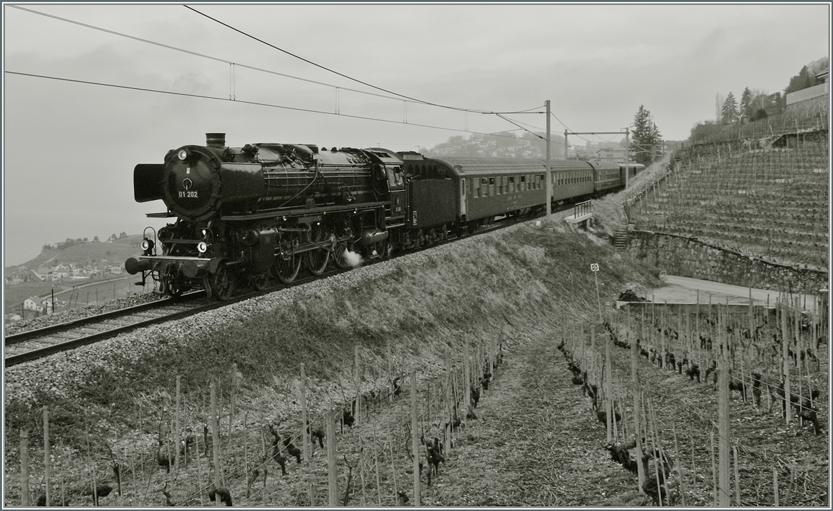 Die herrliche 01 202 im Lavaux, kurz nach Chexbres auf der Fahr Richtung Vevey. 
18. Jan. 2014
