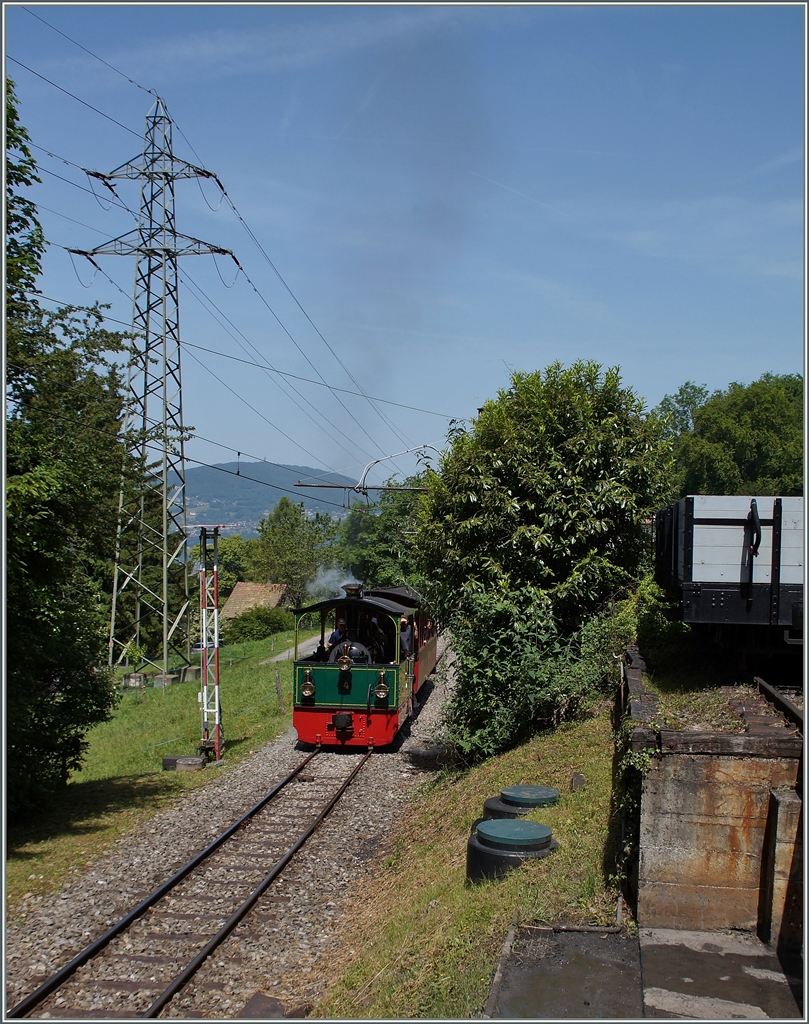 Die kleine Blonay-Chamby Tramway-Lok erreicht mit einem Wagen Chaulin.
9. Juni 2014