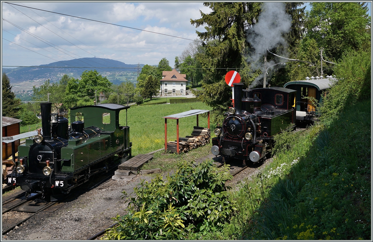 Die LEB G 3/3 N° 5 und die BAM G 3/3 N° 6 in der Lokbehandlung in Chaulin.
15. Mai 2016