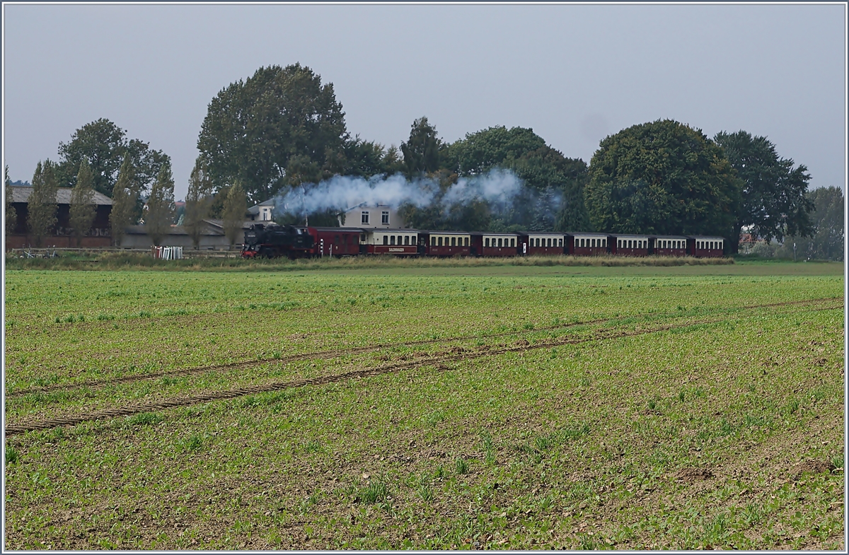 Die Molli 99 2321-0 mit ihrem langen Zug zwischen Khlungsborn Ost und Steilkste.
28. Sept. 2017