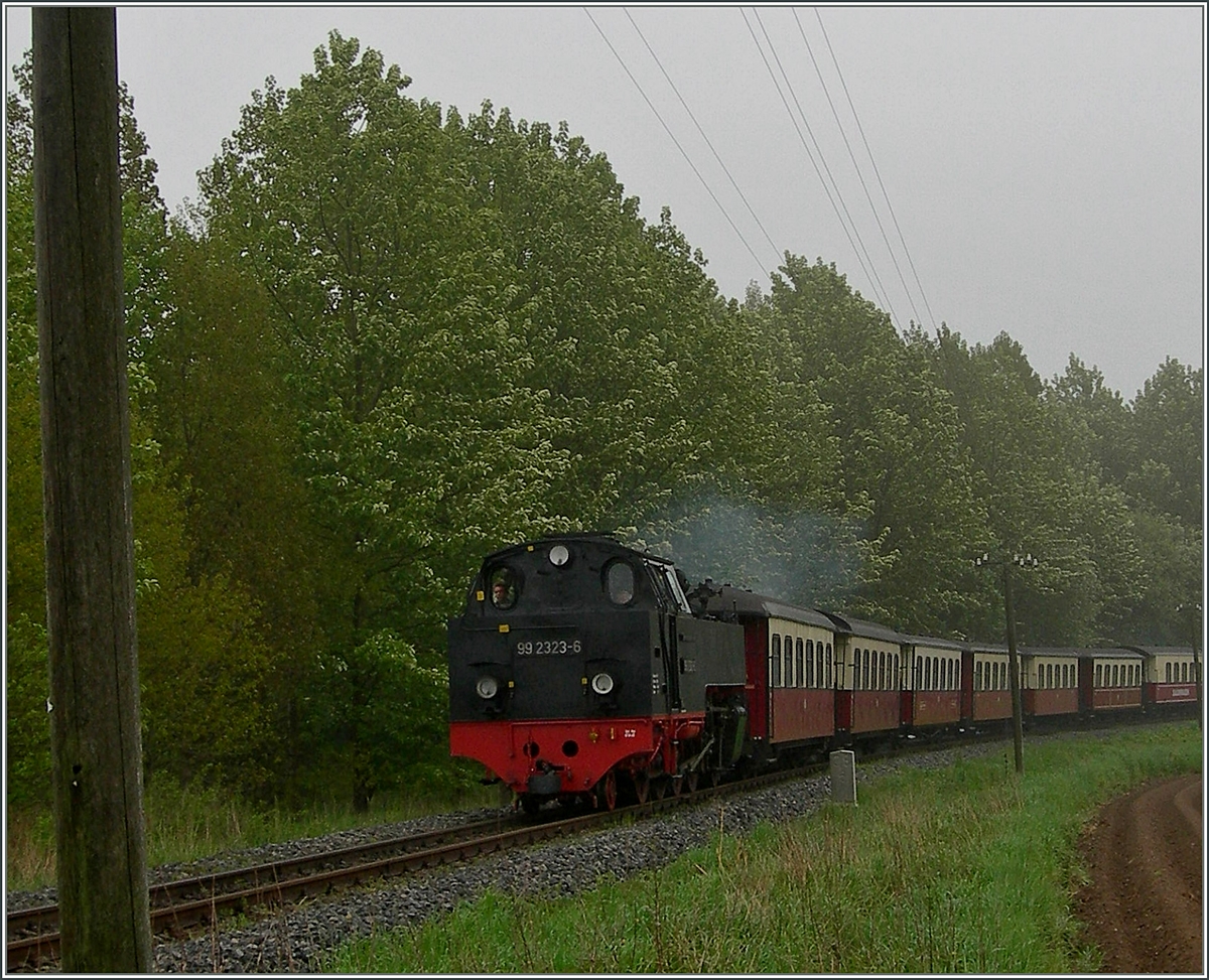 Die  Molli  99 2323-6 kurz vor der Haltestelle  Steilküste  an diesem nebligen 17. Mai 2006