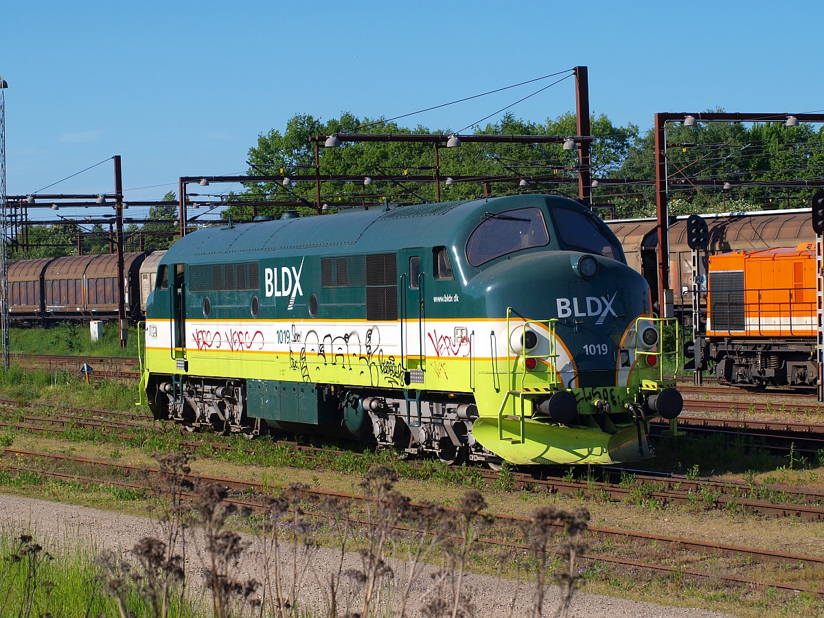 Die Mx 1018(Fabriknr.2458,Bj.1961,Motortyp 12.567C)wurde 1989 bei der DSb ausgemustert und fährt seit dem Frühjahr 2008 für die BLDX. Die Aufnahme entstand am 04.06.2010 in Padborg.