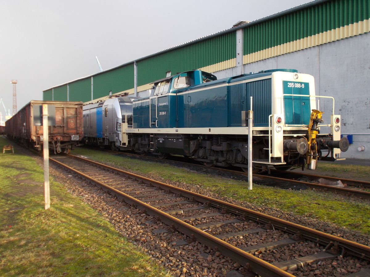 Die  Neue  Rangierlok im Stralsunder Nord-und Südhafen ist jetzt die 295 088-9 von Railsystem,die ich am 04.Januar 2017 im Nordhafen fotografierte.