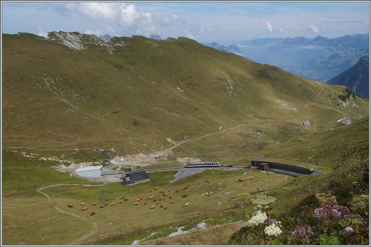 Die Rocher de Naye Bahn macht ihrer Talfahrt einen weiten Bogen um die Linsenputzer.
4. Sept. 2014