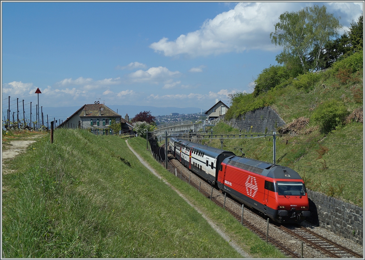 Die SBB 460 015-1 mit einem IC nach St.Gallen zwischen Bossière und Grandvaux.
23.04.2014
