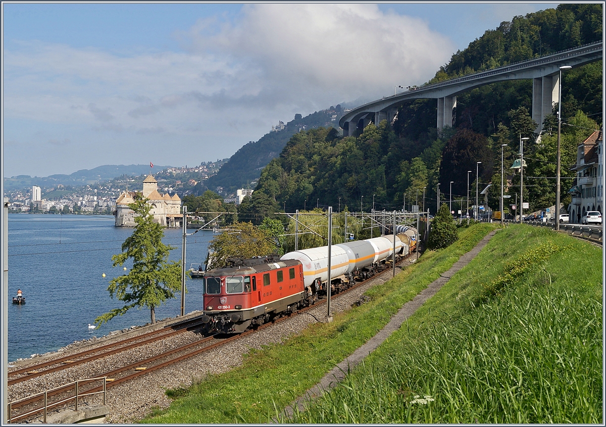 Die SBB Re 420 250-3 mit einem Güterzug auf der Fahrt Richtung Wallis kurz vor Villeneuve.

28. Aug. 2019