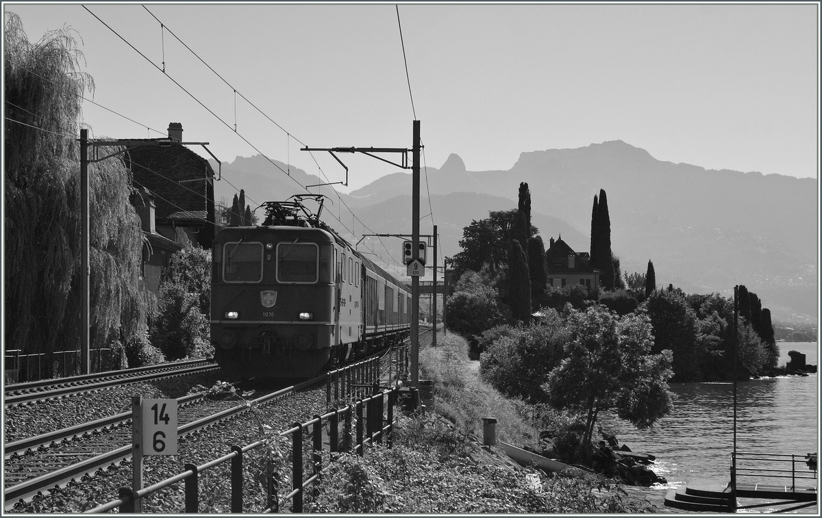 Die SBB Re 4/4 II 11270 erreicht mit einem kurzen Gterzug St-Saphorin.
3. Sept. 2013 