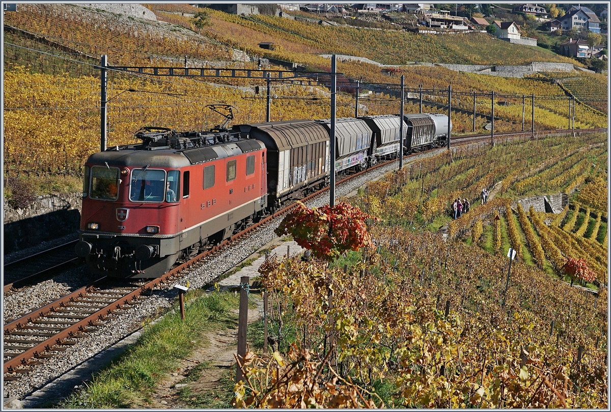 Die SBB Re 4/4 II 11183 mit einem kurzne Güterzug zwischen Grandvaux und Bossière auf der Fahrt Richtung Lausanne.
26. Oktober 2017