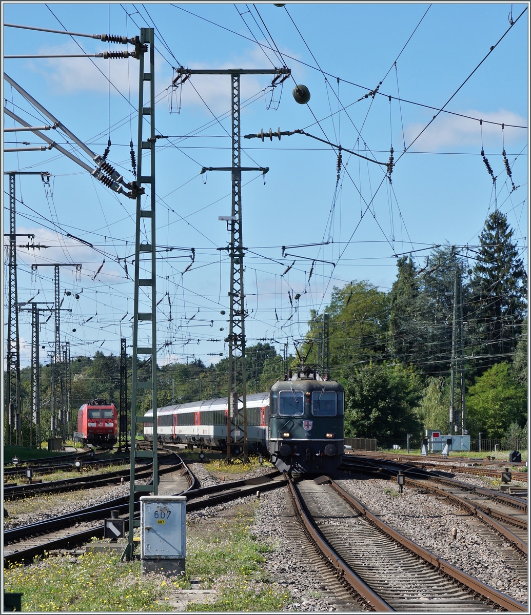 Die SBB Re 4/4 II 11161 in ihrer grünen Lackierung erreicht mit einem IC von Zürich nach Stuttgart den Bahnhof Singen. Die grüne Farbe ist übrigens NICHT die Ursprungs-Lackierung der Re 4/4 II 11161, die Lok wurde 1967 in TEE Farben ausgeliefert und bekam erst nach dem Ende des TEE-Einsatzes 1981/82 die heutige grüne Lackierung.

19. September 2022 