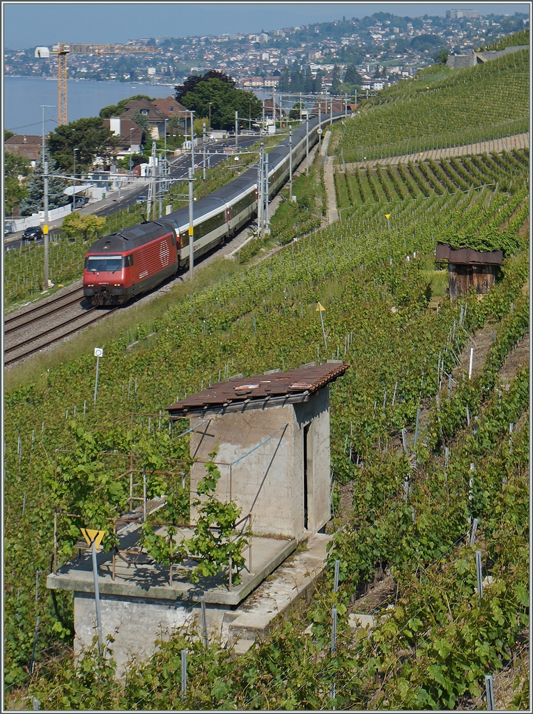 Die SBB Re 460 003-9 ist mir ihrem IR 1713 bei Cully unterwegs. 
2. Juni 2014