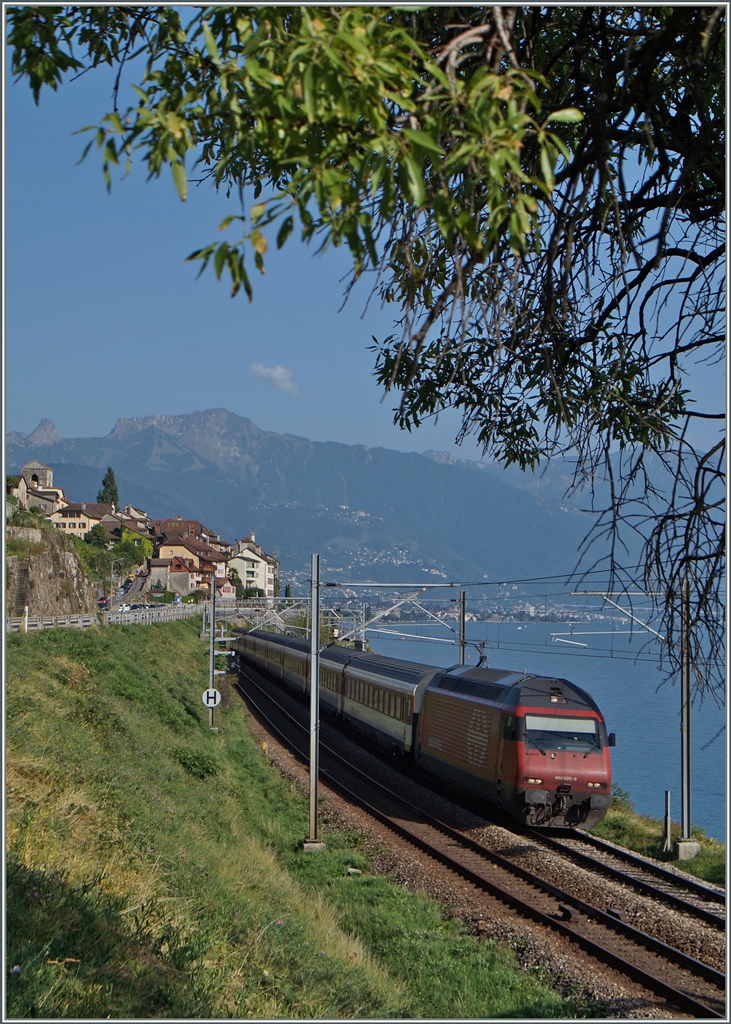 Die SBB Re 460 026-8 mit ihrem IR 1732 von Brig nach Genève Aéroport zwischen St-Saphorin und Rivaz.
31. August 2015