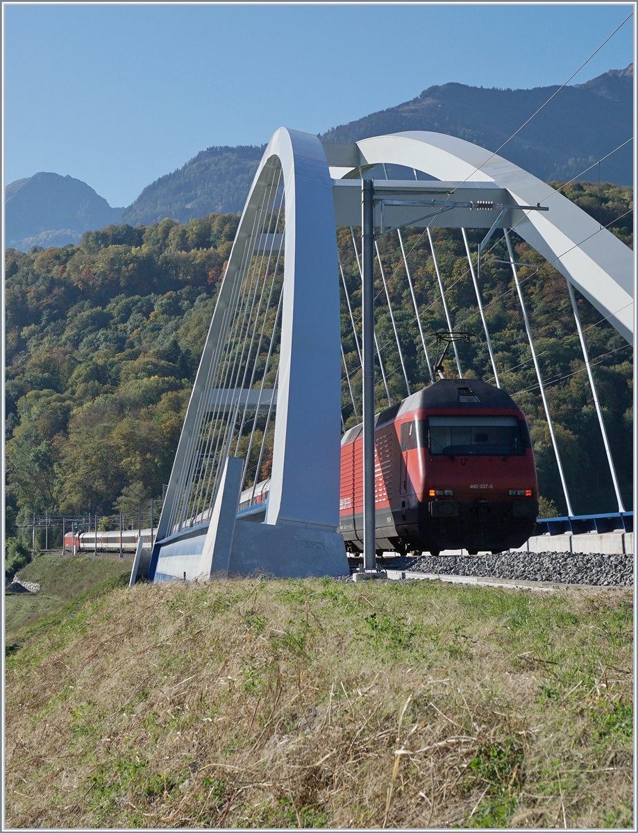 Die SBB Re 460 037-5 schiebt bei Bex ihren IR Richtung Brig über die neuen Rhonebrücke.
11. Okt. 2017