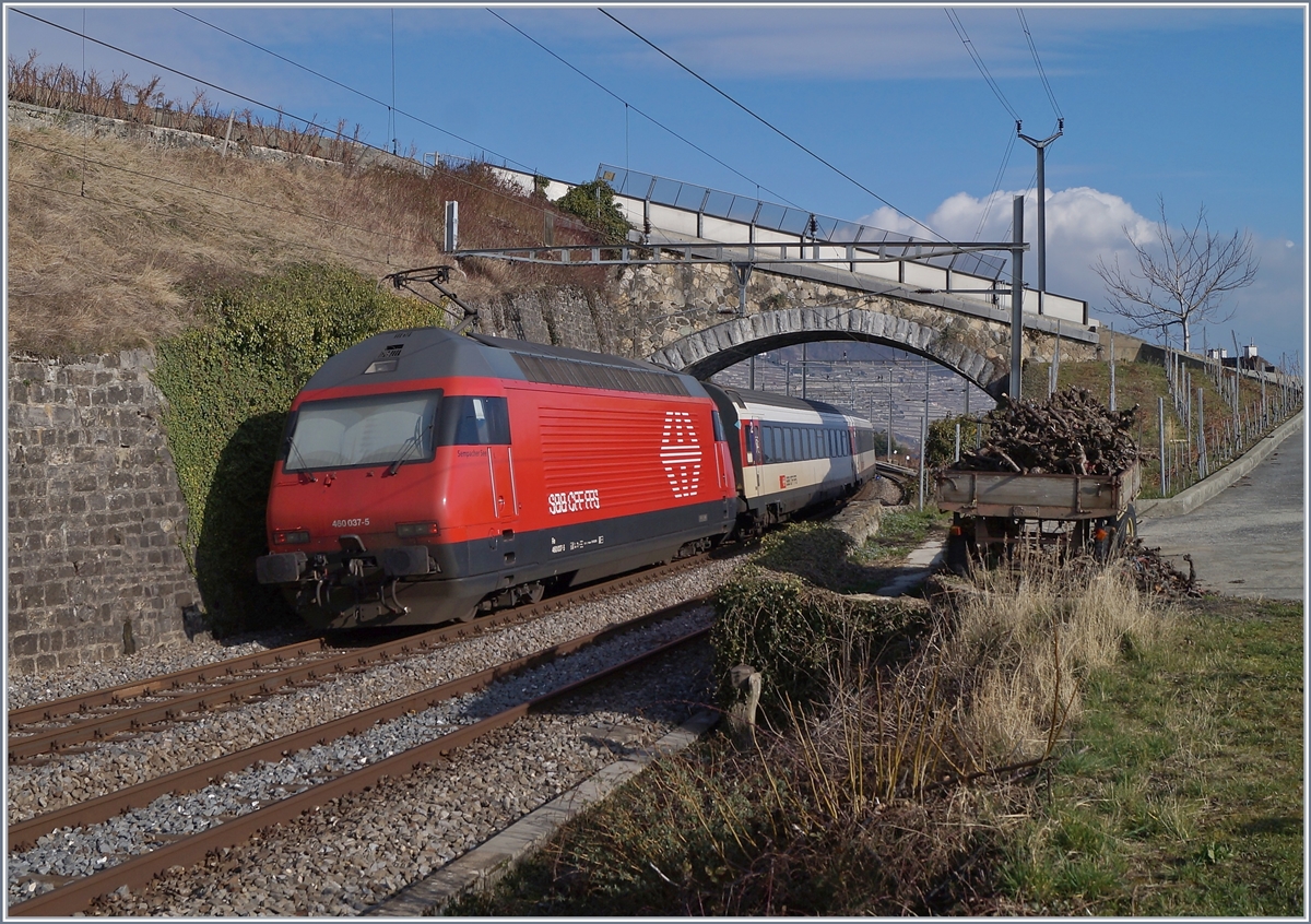 Die SBB Re 460 037-5 schiebt bei Cully einen IR Richtung Brig.
20. Feb. 2018