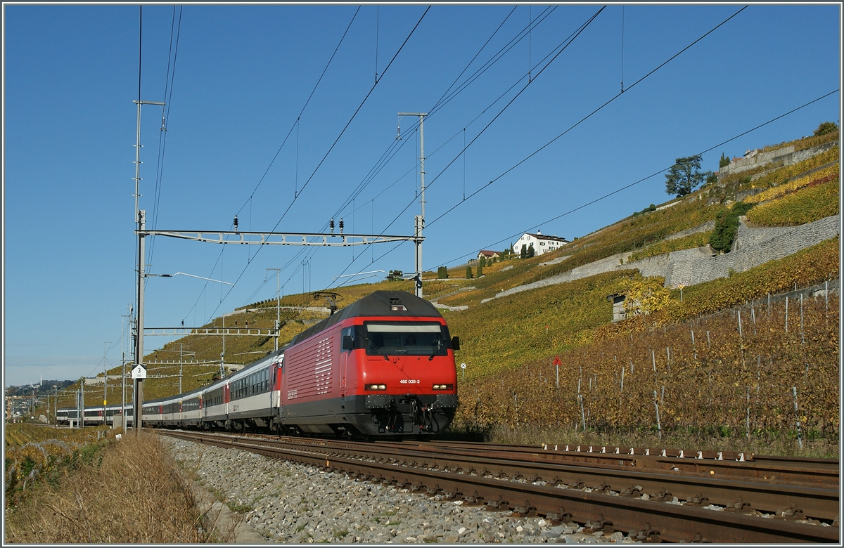 Die SBB Re 460 038-3 mit einem IR nach Brig kurz vor Cully.
28.10.2013