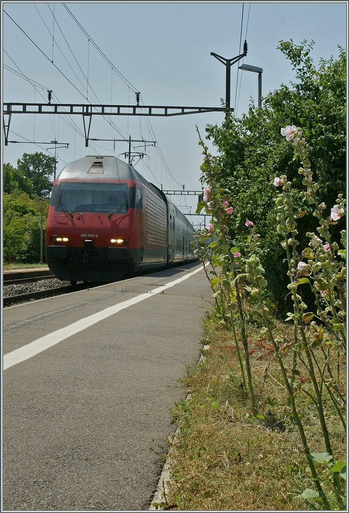 Die SBB Re 460 040-9 fährt mit einem IC nach St.Gallen in Lonay-Préveranges durch. 
15. Juli 2013