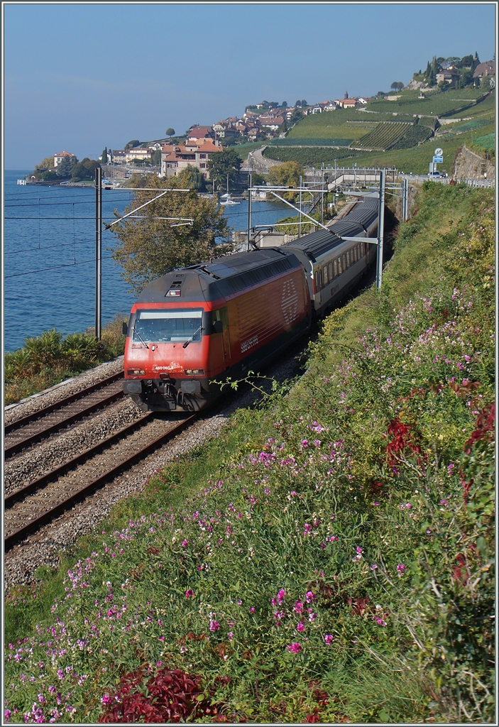 Die SBB Re 460 060-7 fährt mir ihrem IR 1815 am Genfersee bei St-Saphorin entlang.
3. Okt. 2015